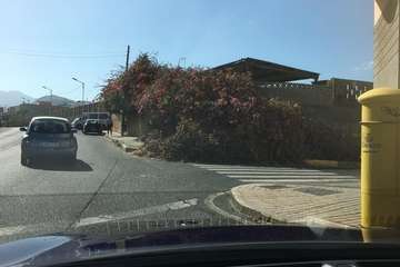 La tertulia La Buganvilla se queda sin sombra